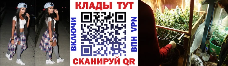 Продажа наркотиков Кострома Кокаин  МЕФ  ГАШИШ  Конопля 