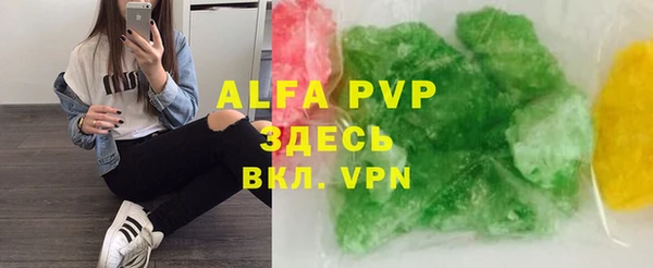 спайс Богданович