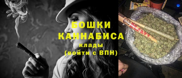 спайс Богданович